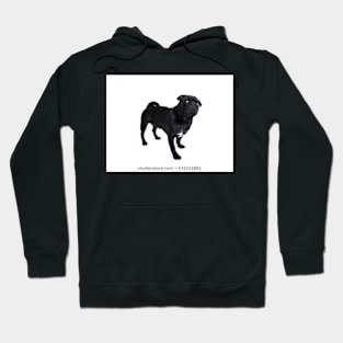 Doggy Hoodie